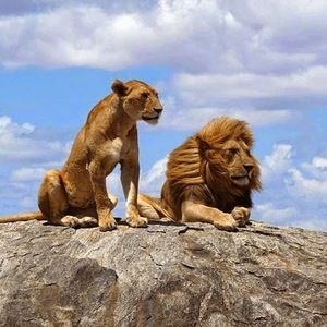 Meet your Posher, Isaiah